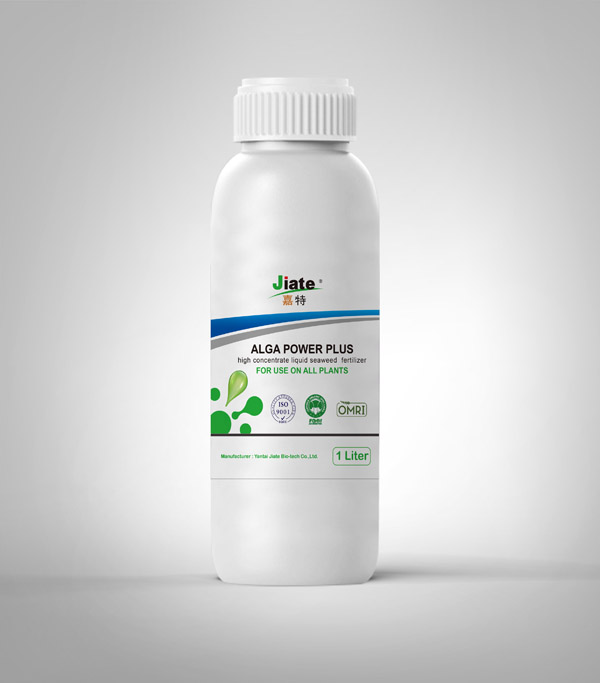 Alga Spray Foliar Liquid -JT Seaweed 600