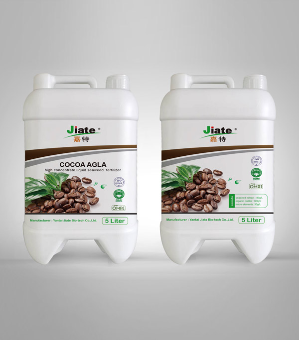 ALGA FOR COCOA