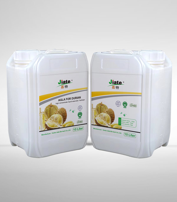 ALGA FOR DURIAN